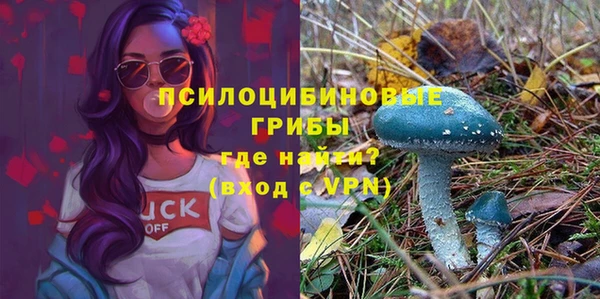 ПСИЛОЦИБИНОВЫЕ ГРИБЫ Алексин