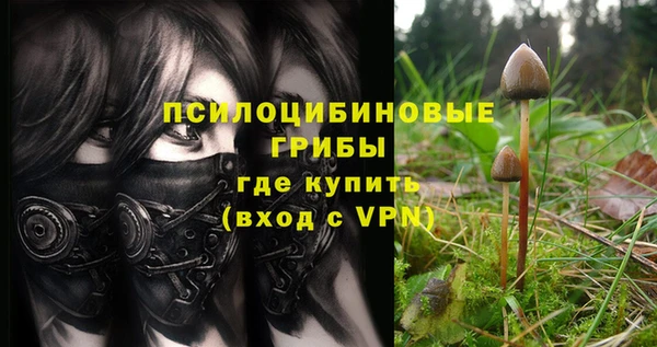 прущие грибы Алзамай