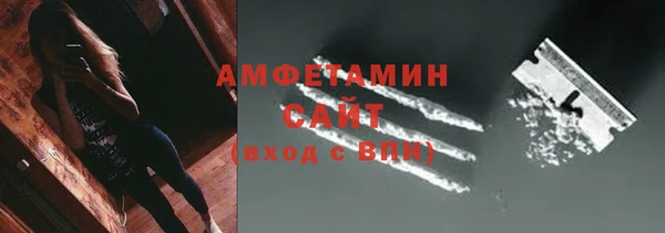 прущие грибы Алзамай