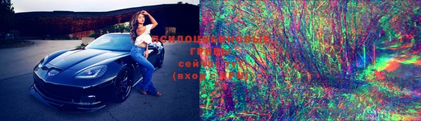 прущие грибы Алзамай