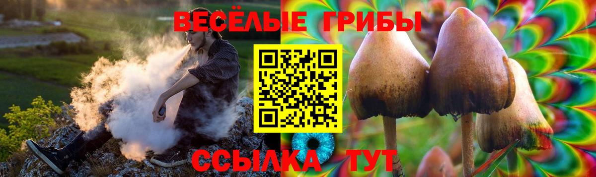 Кореновск  Галлюциногенные грибы мицелий  Вход с VPN  Псилоцибиновые грибы MAGIC MUSHROOMS 